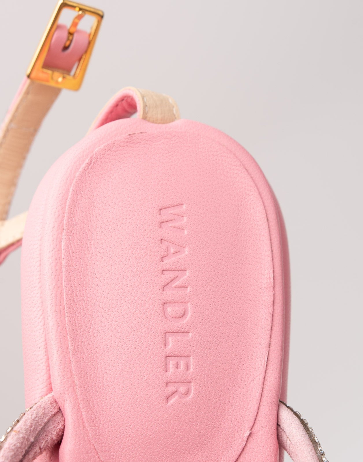 WANDLER Leather Mary Jane Ankle Sandals
